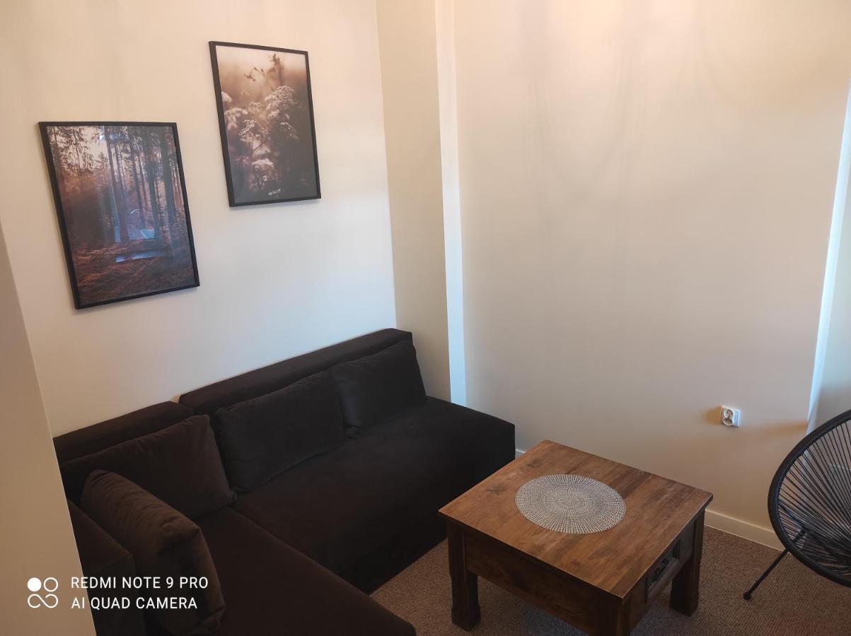 Bocianowka Z Sauna I Fotelem Masujacym W Cenie Ustroń Esterno foto